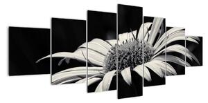 Černobílý obraz květu (210x100cm)
