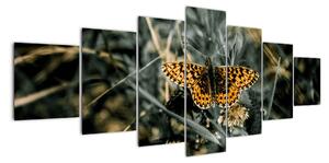 Obraz motýla (210x100cm)