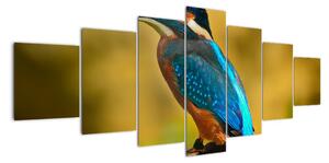Obraz - barevný pták (210x100cm)