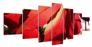 Obraz červených listů (210x100cm)