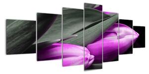 Obraz fialových tulipánů (210x100cm)