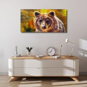 Obraz na plátně Obraz na plátně Medvěd
