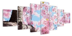 Kvetoucí strom - obraz (210x100cm)