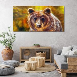 Obraz na plátně Obraz na plátně Medvěd