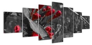 Červené květy - moderní obrazy (210x100cm)