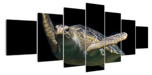 Obraz plovoucí želvy (210x100cm)