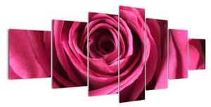 Obraz růžové růže (210x100cm)