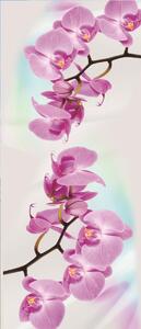 Fototapety na dveře Orchid 2 samolepící 91 x 211 cm