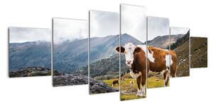 Obraz krávy na louce (210x100cm)