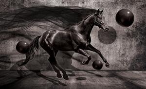 3D Fototapeta Kůň vlies 152,5 x 104 cm