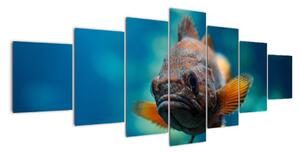 Obraz - ryba (210x100cm)