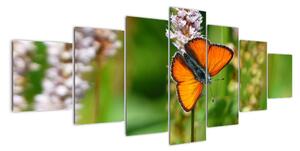 Moderní obraz motýla na louce (210x100cm)