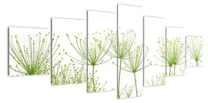 Obraz rostlin na bílém pozadí (210x100cm)