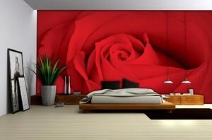 Fototapeta Bed Rose Macro vlies 104 x 70,5 cm