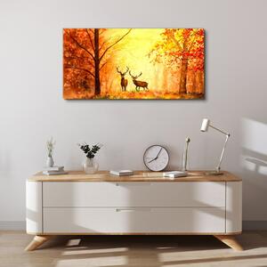 Obraz na plátně Obraz na plátně Podzimní lesní jelen