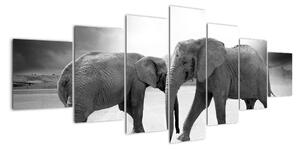 Obraz - sloni (210x100cm)