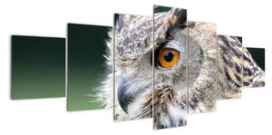 Vyhlížející sova - obraz (210x100cm)
