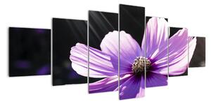 Obraz fialového květu (210x100cm)