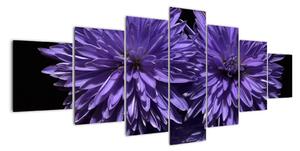 Obraz fialových květů (210x100cm)