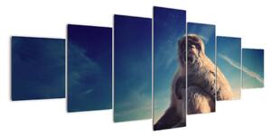 Obraz opice - obrazy zvířat (210x100cm)