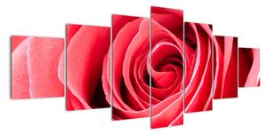 Obraz červené růže (210x100cm)