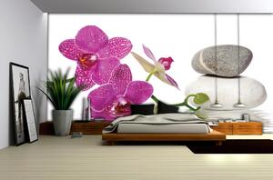 Fototapeta Spa stones with orchid vlies 104 x 70,5 cm
