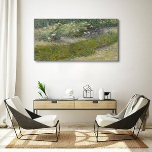 Obraz na plátně Obraz na plátně Abstrakce lesní trávy