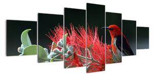 Obraz ptáků - červená (210x100cm)