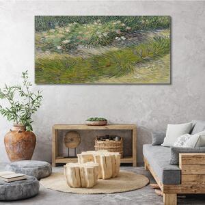 Obraz na plátně Obraz na plátně Abstrakce lesní trávy