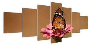 Obraz motýla (210x100cm)