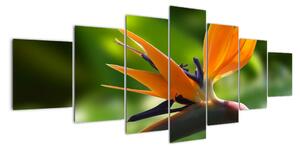 Detail květu - obraz (210x100cm)