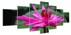 Obraz květu (210x100cm)