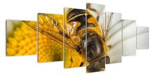 Obraz - detail včely (210x100cm)