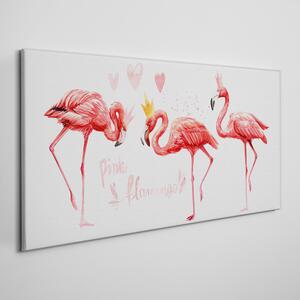 Obraz na plátně Obraz na plátně Zvířecí pták Flaming