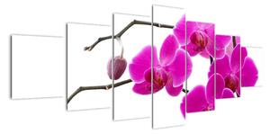 Obraz orchidejí na zeď (210x100cm)