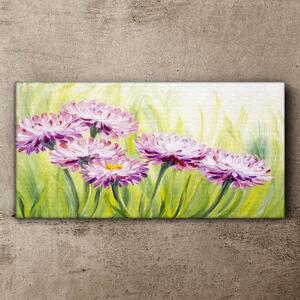 Obraz na plátně Obraz na plátně Květiny rostlin trávy