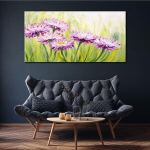 Obraz na plátně Obraz na plátně Květiny rostlin trávy