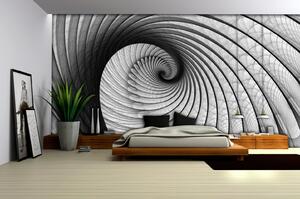 Fototapeta Grey Snail papír 254 x 184 cm