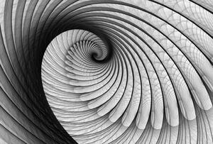 Fototapeta Grey Snail vlies 104 x 70,5 cm