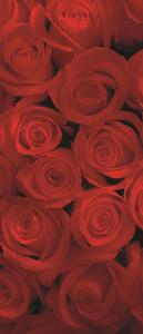 Fototapeta na dveře Red roses vlies 91 x 211 cm