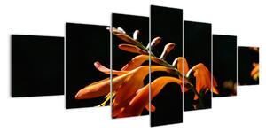 Obraz detailu květiny (210x100cm)