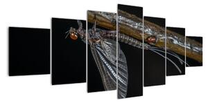 Obraz - hmyz (210x100cm)