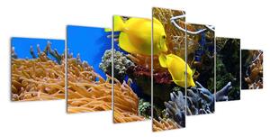 Podmořský svět - obraz (210x100cm)