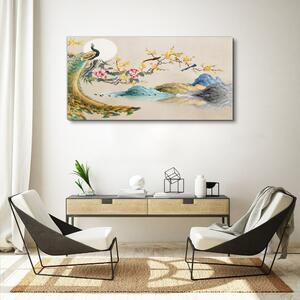 Obraz na plátně Obraz na plátně Abstrakce hory páv květiny