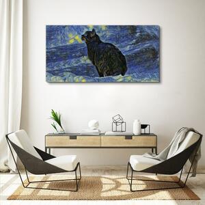 Obraz na plátně Obraz na plátně Abstrakce kočka noční hvězda