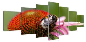 Obraz včely na květu (210x100cm)