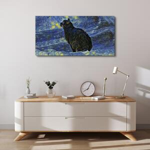 Obraz na plátně Obraz na plátně Abstrakce kočka noční hvězda