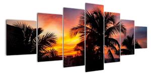 Obraz palmy na zeď (210x100cm)