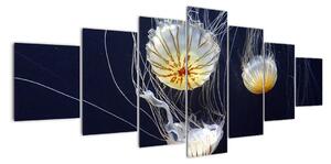 Obraz - medúzy (210x100cm)