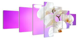 Obraz s orchidejí (210x100cm)